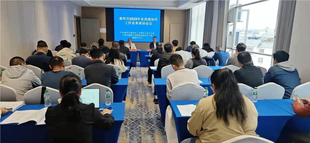 普洱市成功舉辦2025年東西部協作工作業務培訓會